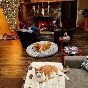 Meet your Posher, Holly